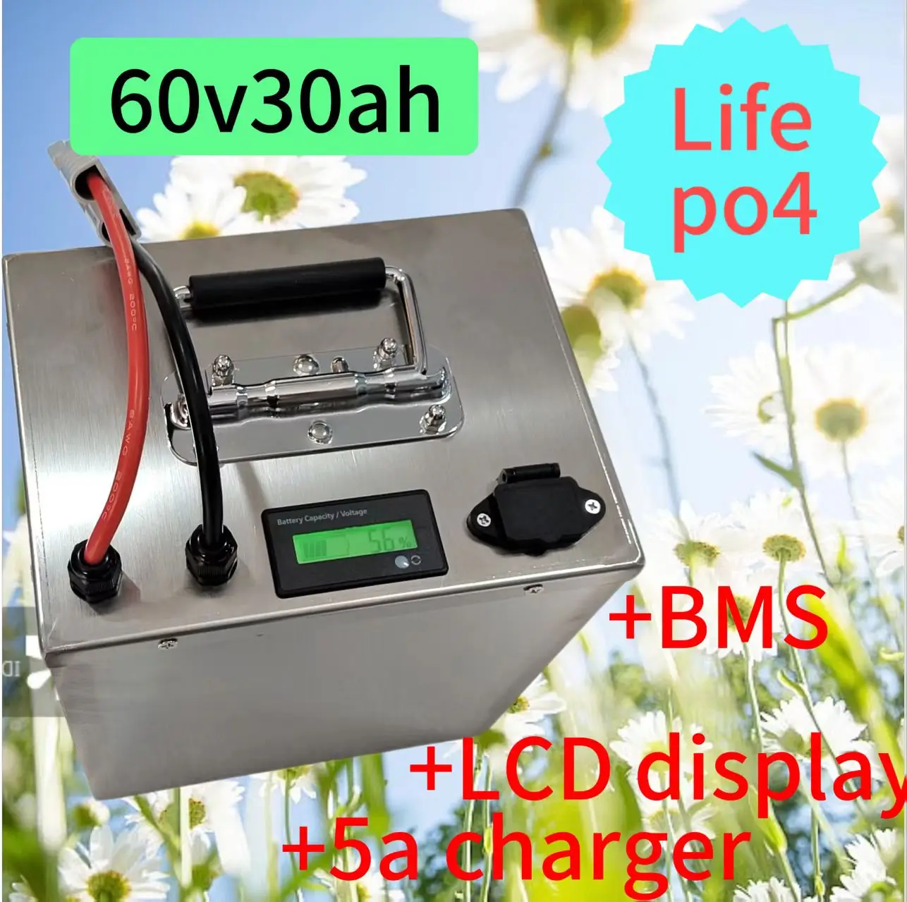 LiFepo4 60 В, 30 Ач, 25 Ач, литиевый аккумулятор с ЖК-дисплеем BMS для двух трехколесных колес 60 В, 1,5 кВт, 2 кВт, 3 кВт
LiFepo4 60 В, 30 Ач, 25 Ач, литиевый аккумулятор с ЖК-дисплеем BMS для двух трехколесных колес 60 В, 1,5 кВт, 2 кВт, 3 кВт