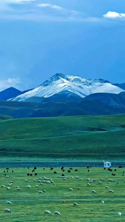 Screenless Smart Bracelet IP68 Waterproof Fitness Tracker Step Counting Blood Oxygen Heart Rate Sleep Monitor Smartwatch
Screenless Smart Bracelet IP68 Waterproof Fitness Tracker Step Counting Blood Oxygen Heart Rate Sleep Monitor Smartwatch