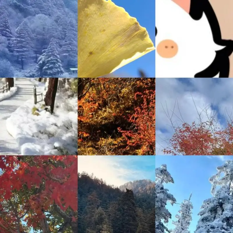 Адаптер-корпус для SSD M.2 на Type-C, адаптер-карта для NVMe SSD, чип JMS583, USB3.2 10 Гбит/с для SSD 2230, 2242, 2260, 2280
Адаптер-корпус для SSD M.2 на Type-C, адаптер-карта для NVMe SSD, чип JMS583, USB3.2 10 Гбит/с для SSD 2230, 2242, 2260, 2280