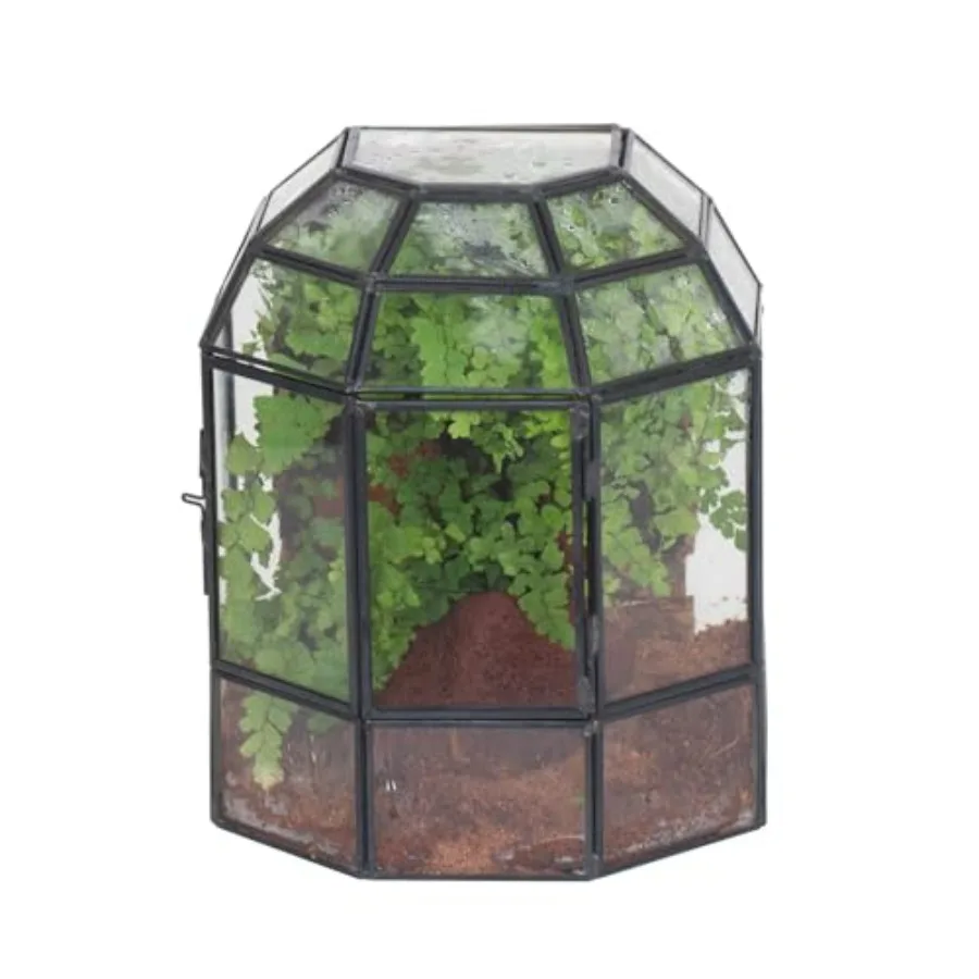 Half Dome Geometric Glass Terrarium with Door, Closed Moss Planter Pot, Miniature Landscape Container, Indoor Tabletop Decor, B
Half Dome Geometric Glass Terrarium with Door, Closed Moss Planter Pot, Miniature Landscape Container, Indoor Tabletop Decor, B
