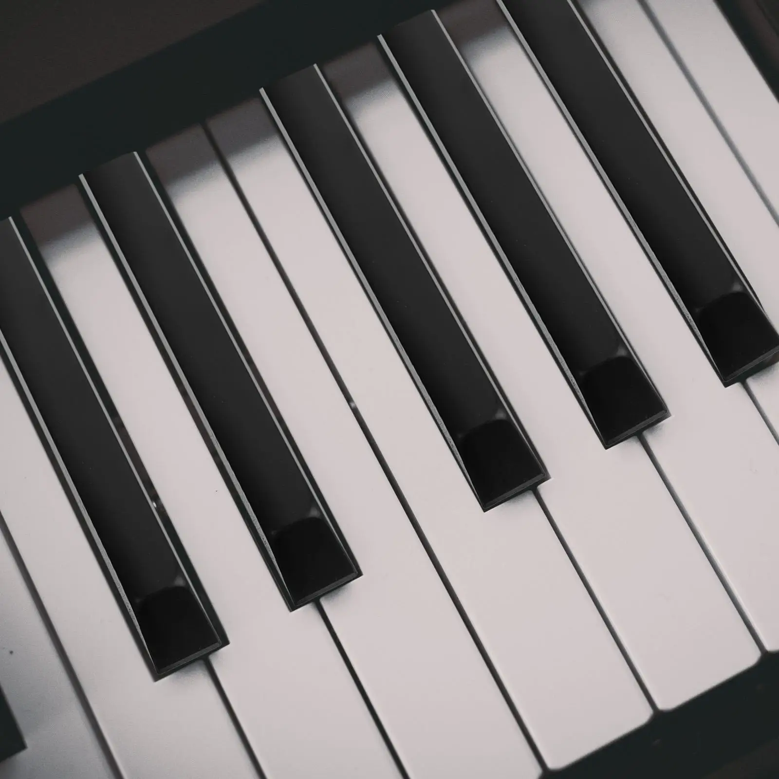 5 Pcs Piano Black Key Accessories Repairing Keytops Vertical Plastic Tools Parts Keys
5 Pcs Piano Black Key Accessories Repairing Keytops Vertical Plastic Tools Parts Keys