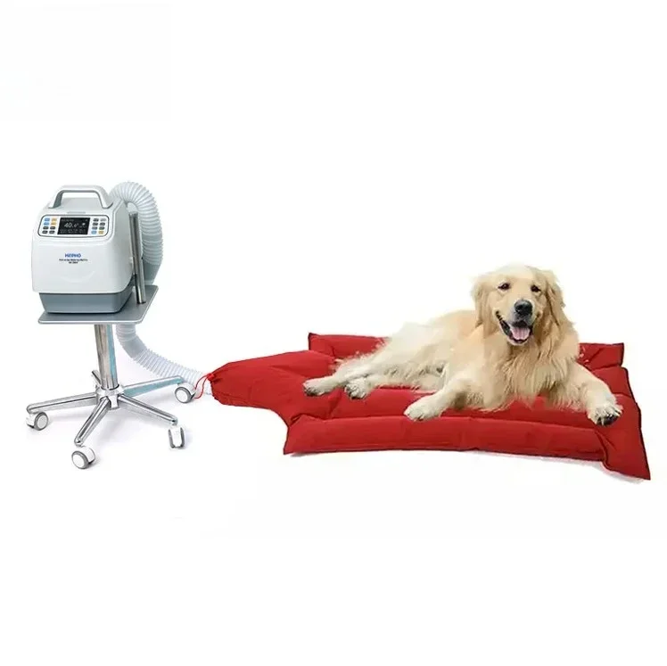 Pet Heating System For Animal Use In Clinic Warmer
Pet Heating System For Animal Use In Clinic Warmer