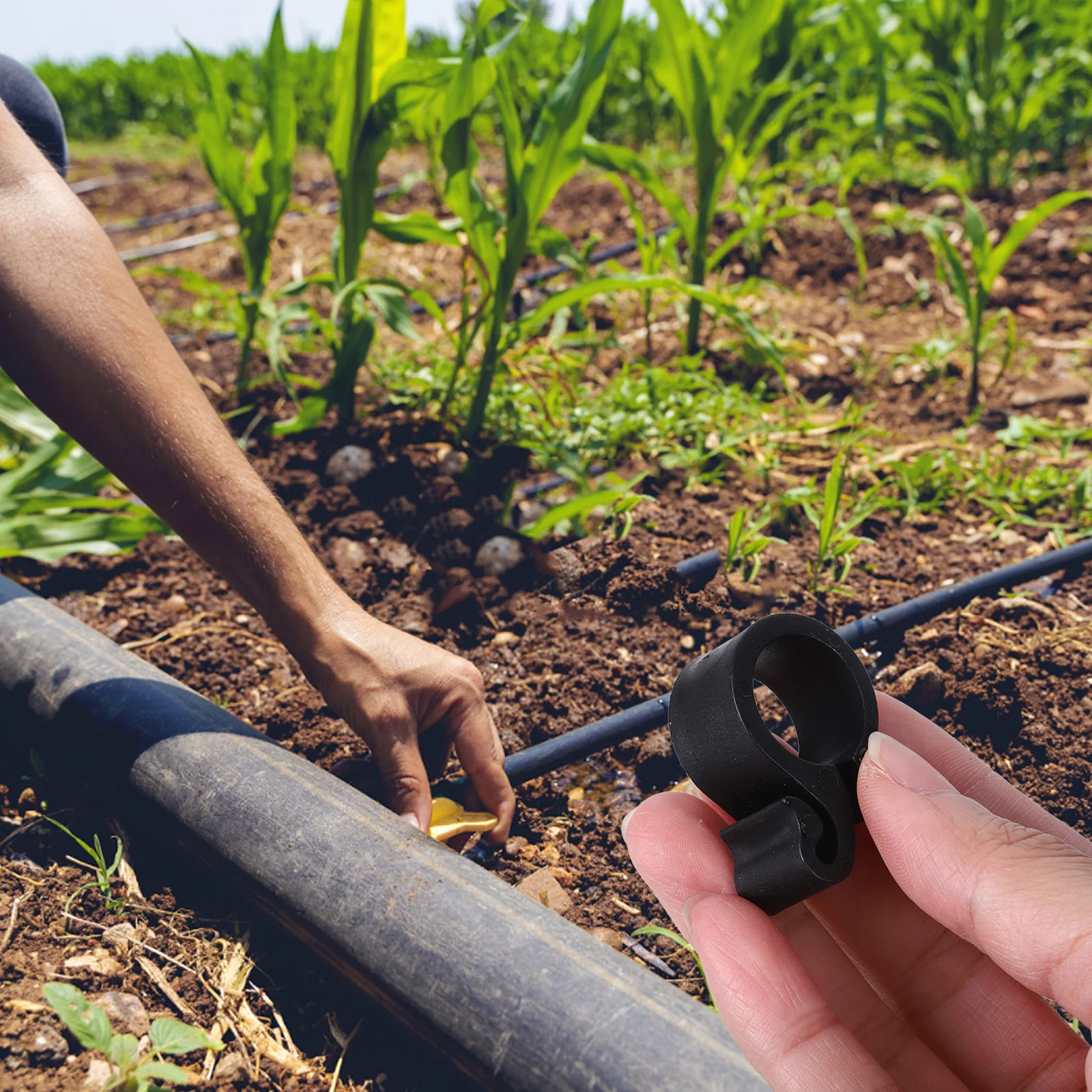 50Pcs Clamp Hook Clip for Irrigation Hose Fixing Plastic Tube Clamps Garden Drip System Hanging Tool Fastening Hardware
50Pcs Clamp Hook Clip for Irrigation Hose Fixing Plastic Tube Clamps Garden Drip System Hanging Tool Fastening Hardware