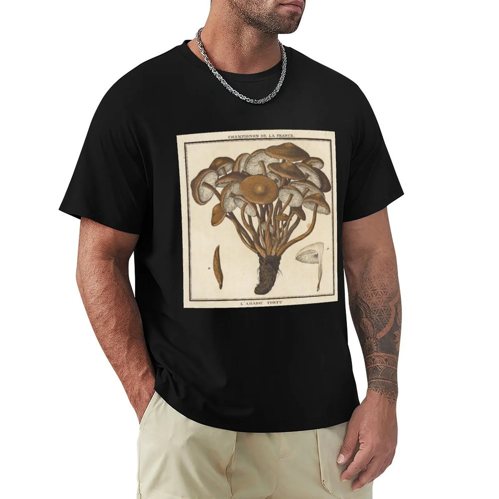 L'Agaric Tortu T-Shirt Basic Lightweight Short Sleeve Tee
L'Agaric Tortu T-Shirt Basic Lightweight Short Sleeve Tee