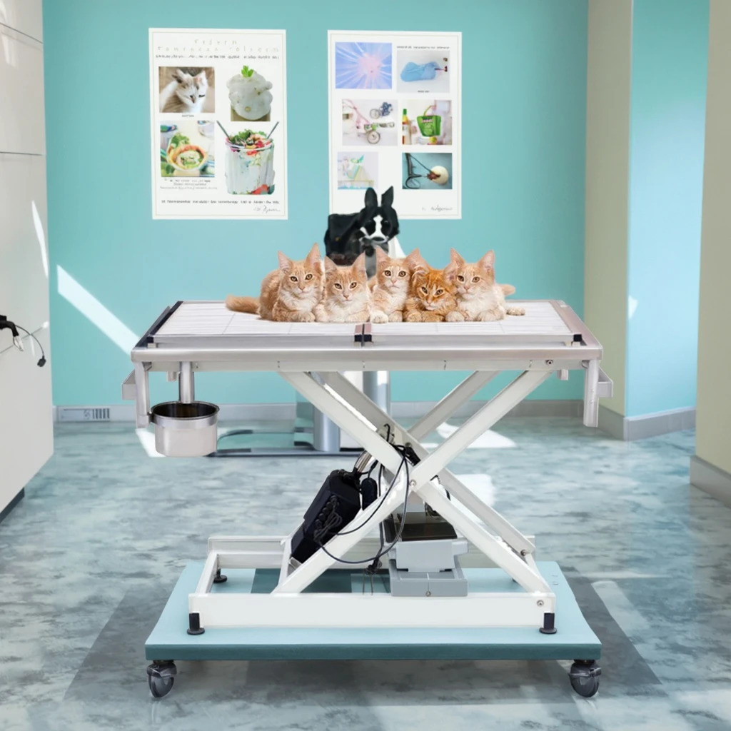 HC-R014 Veterinary Examination Table Bed Dog Cat Clinic Dissect Bed Vet Surgery Bed
HC-R014 Veterinary Examination Table Bed Dog Cat Clinic Dissect Bed Vet Surgery Bed