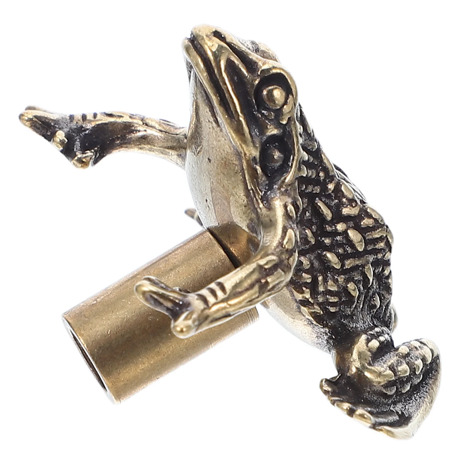 Polished Brass Toad Door Knob Traditional Design Cultural Charm Kitchen Cabinet Handles Scratch Resistant Finish Easy
Polished Brass Toad Door Knob Traditional Design Cultural Charm Kitchen Cabinet Handles Scratch Resistant Finish Easy