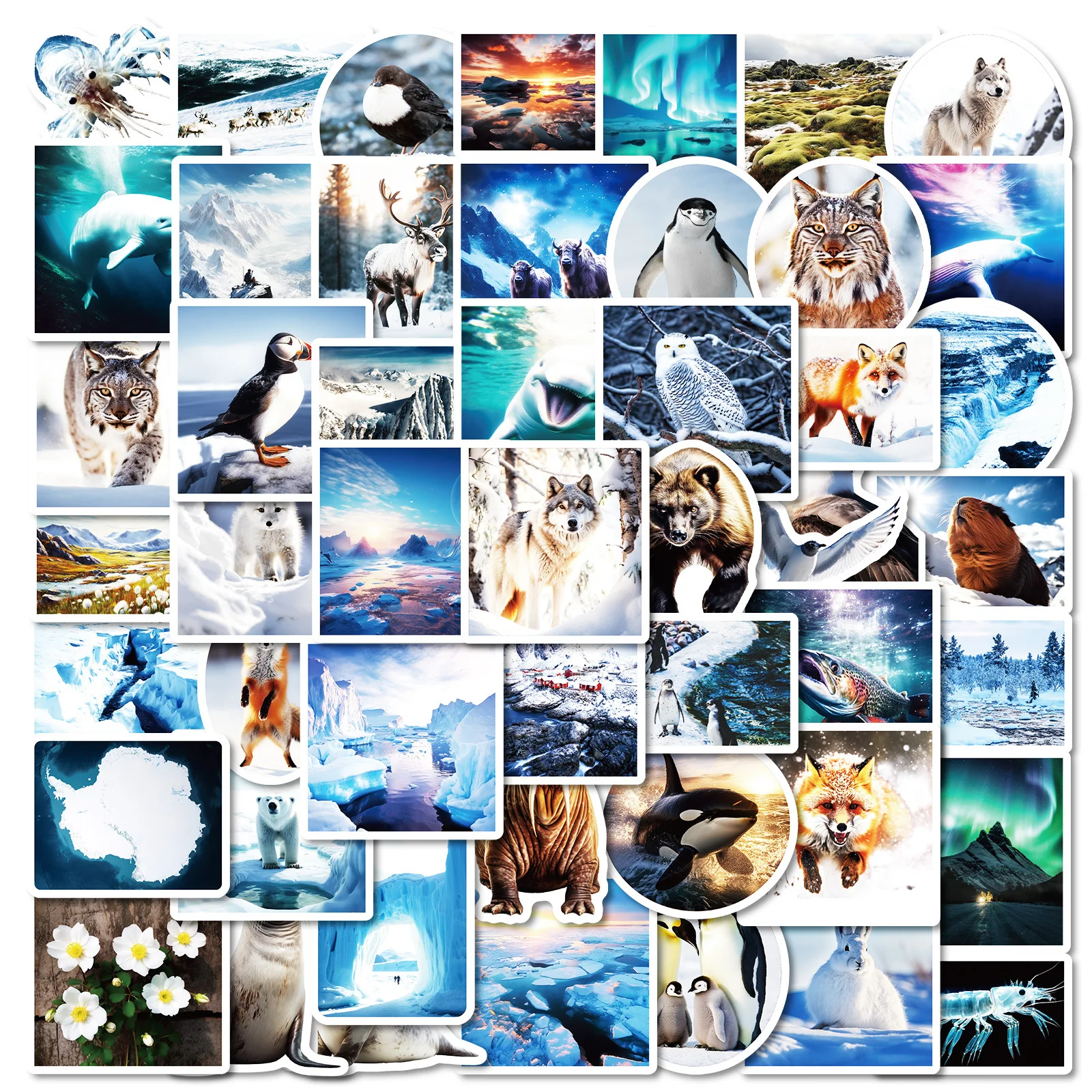 50Pcs Antarctic Geomorphology Series Stickers Suitcase Phone Case Water Bottle Waterproof Decoration Diy Sticker Packs
50Pcs Antarctic Geomorphology Series Stickers Suitcase Phone Case Water Bottle Waterproof Decoration Diy Sticker Packs