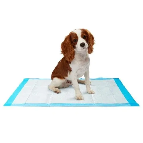 Dog Training Pads With Adhesive Pet Toilet Mat Dog Pads Puppy Pee Pads Charcoal For Dogs
Dog Training Pads With Adhesive Pet Toilet Mat Dog Pads Puppy Pee Pads Charcoal For Dogs
