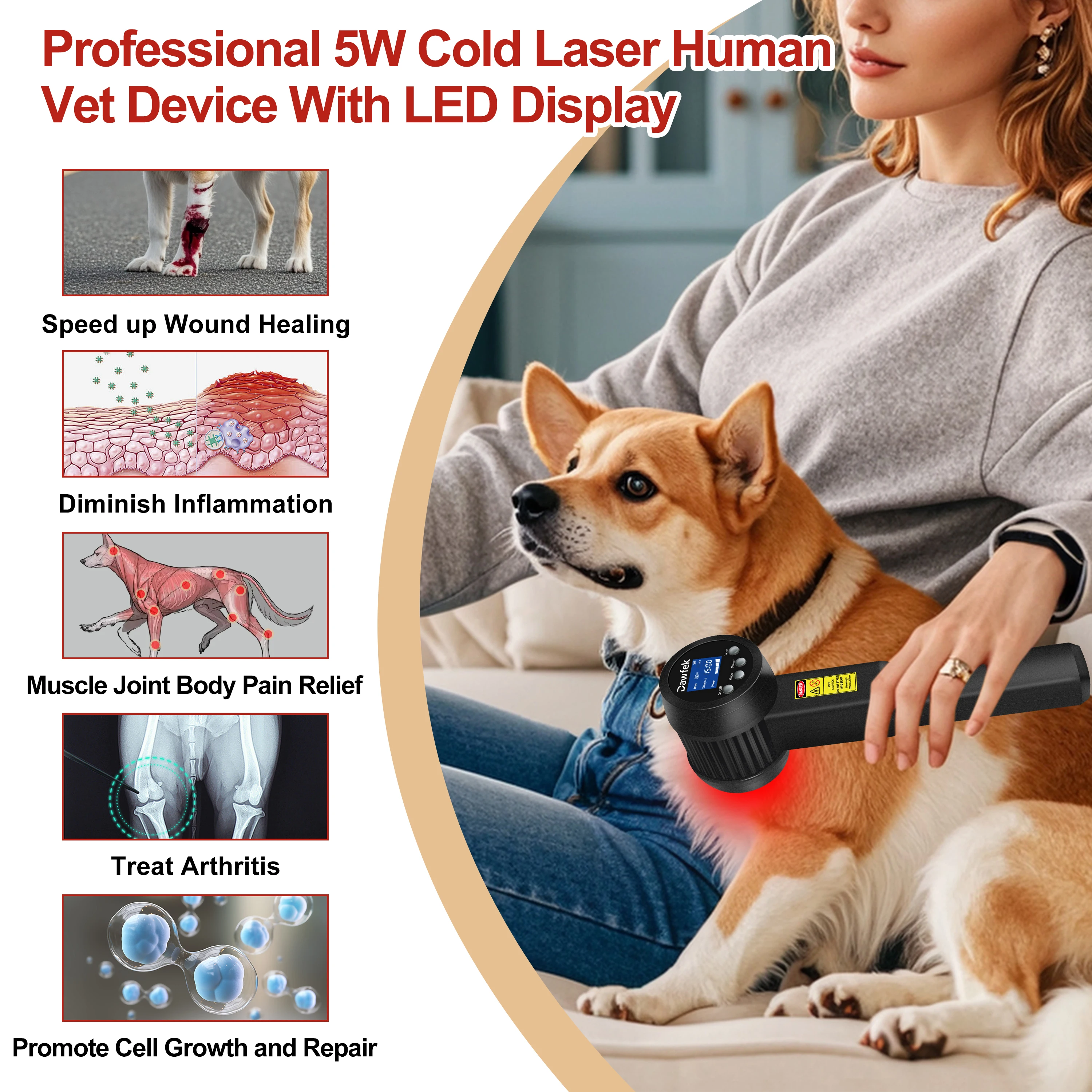 NEW2026 Medical Cold Laser Therapy Cavalli Horse Biostimulation LLLT Low Level Light Equipment Device for Pain Relief and Fibrom
NEW2026 Medical Cold Laser Therapy Cavalli Horse Biostimulation LLLT Low Level Light Equipment Device for Pain Relief and Fibrom