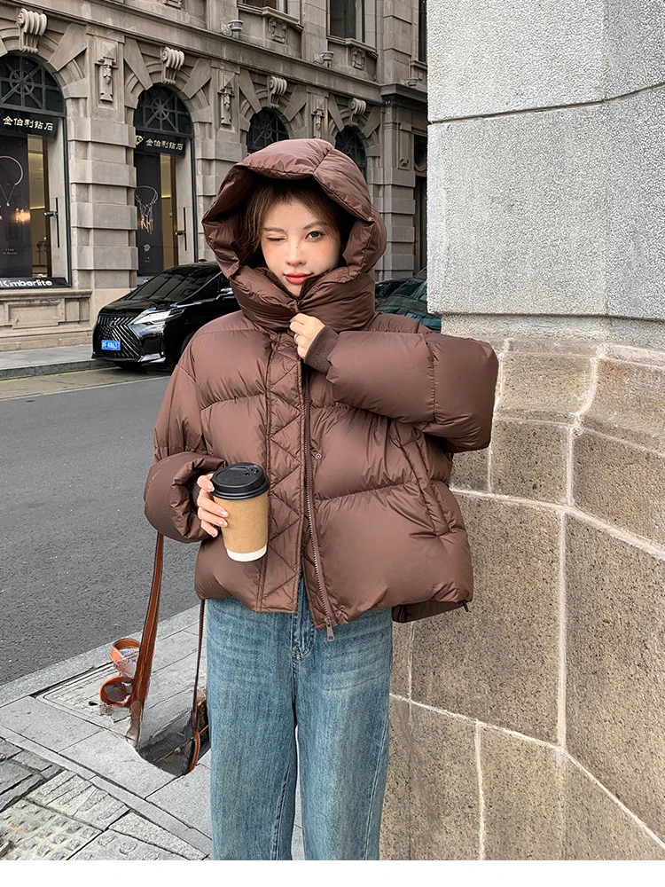 Korean Version of Loose Hooded Stand Collar Down Jacket, Women's Winter New Thick Warm Casual Short Zipper Cotton-padded Clothes
Korean Version of Loose Hooded Stand Collar Down Jacket, Women's Winter New Thick Warm Casual Short Zipper Cotton-padded Clothes