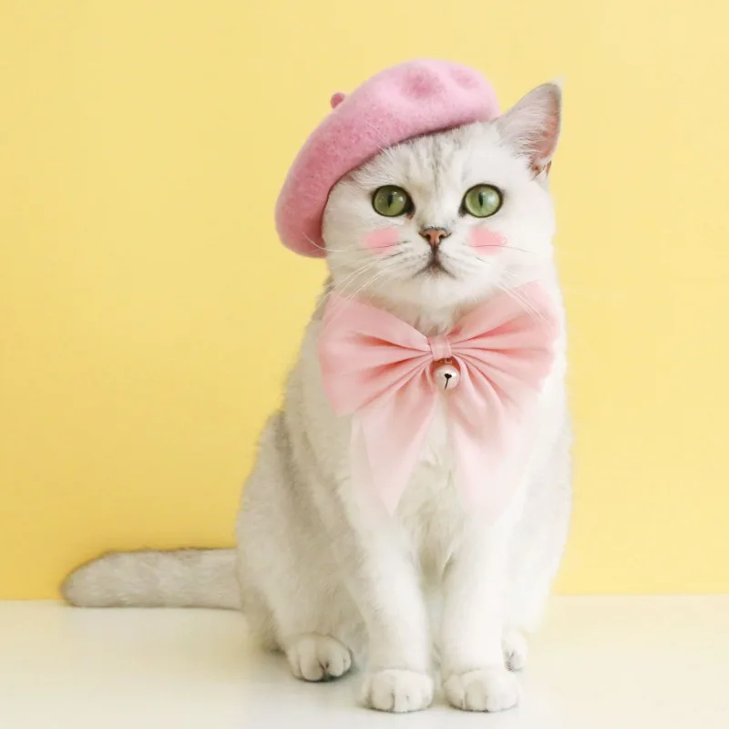 Pet Cat and Dog Christmas Princess Beret Hat Wool Warm Bow Bell Collar Set
Pet Cat and Dog Christmas Princess Beret Hat Wool Warm Bow Bell Collar Set