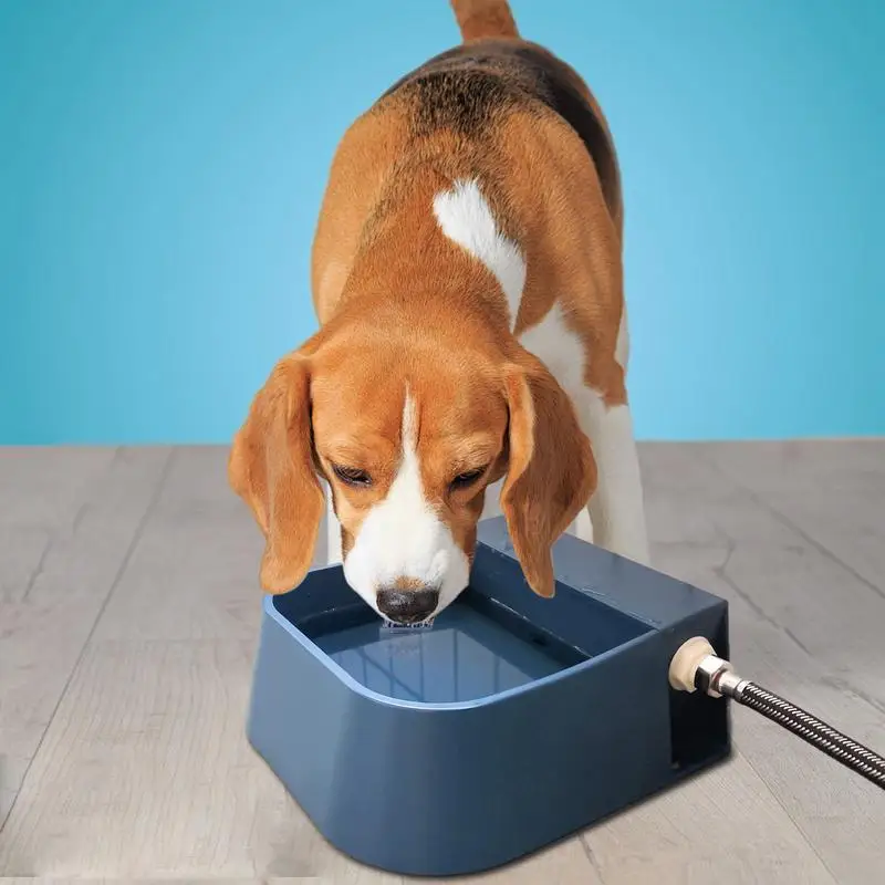 Auto Fill Dog Water Bowl Quick Connecting Drinkier For Kitten Large Capacity Automatic Water Dispenser For Dog Cat Chicken Cow
Auto Fill Dog Water Bowl Quick Connecting Drinkier For Kitten Large Capacity Automatic Water Dispenser For Dog Cat Chicken Cow