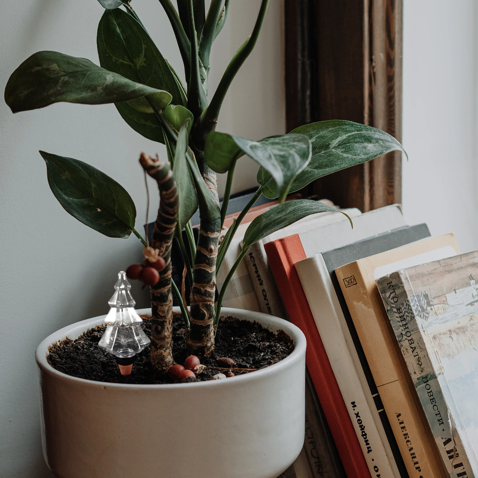 Small Christmas Tree Waterer Vacation House Plants Ceramics Watering Tools for Indoor
Small Christmas Tree Waterer Vacation House Plants Ceramics Watering Tools for Indoor