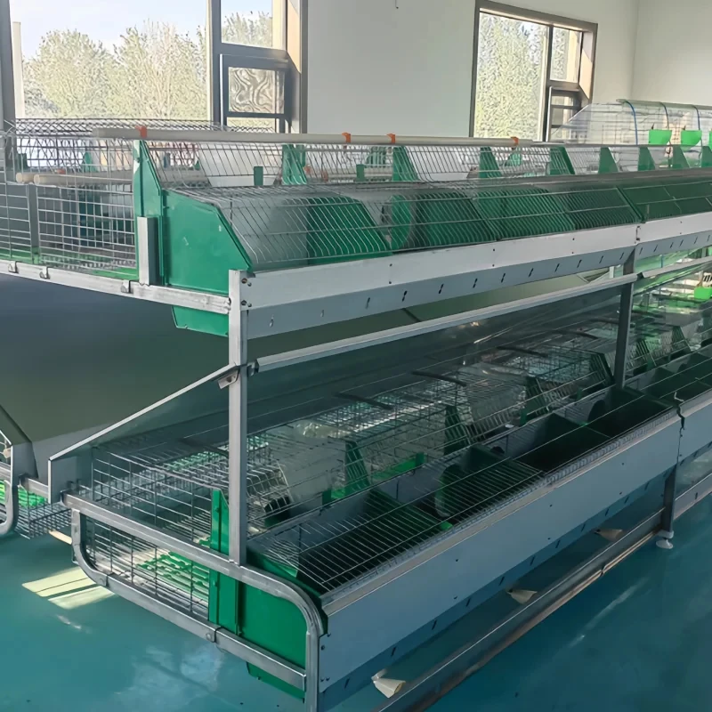 2 Layer 16 Cells Breeding House Attached Nest Box Hot Dip Galvanized Double Row Rabbit Cage
2 Layer 16 Cells Breeding House Attached Nest Box Hot Dip Galvanized Double Row Rabbit Cage