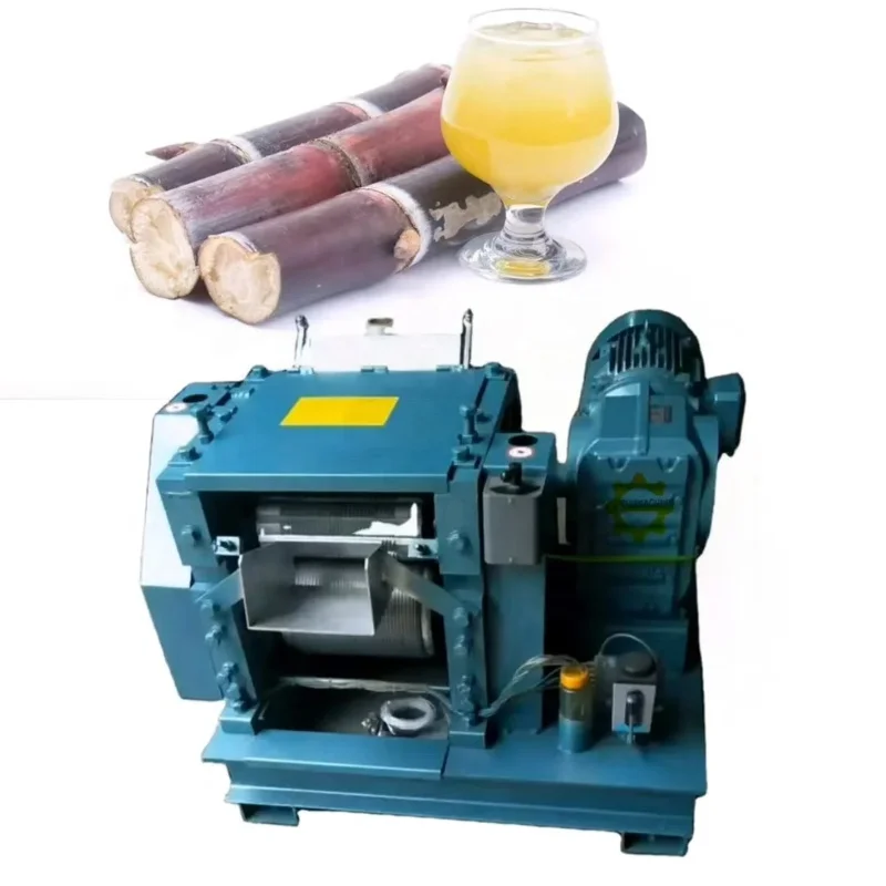 Professional Sugar Cane Juicer Factory Made Commercial Sugarcane Juice Machine
Professional Sugar Cane Juicer Factory Made Commercial Sugarcane Juice Machine