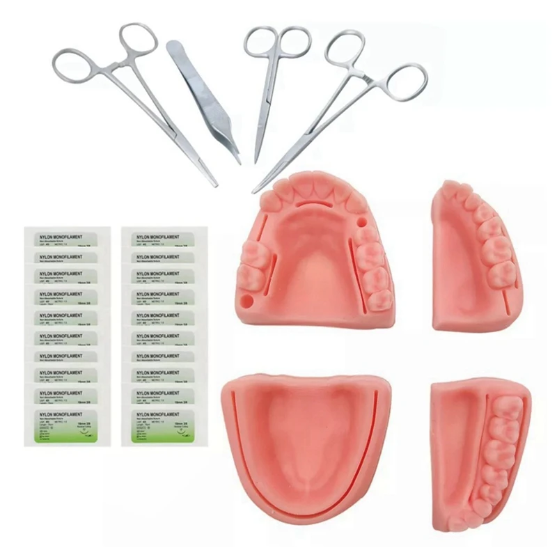 Silicone Artificial Oral Teeth Gum Suture Training Kit Common Types Of Wounds For Dentist Practice And Training
Silicone Artificial Oral Teeth Gum Suture Training Kit Common Types Of Wounds For Dentist Practice And Training