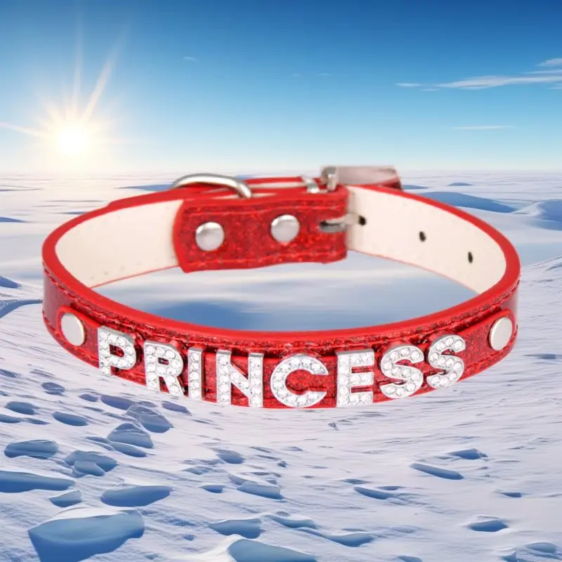 Fashion Personalized Letters PRINCESS Choker Women Leather Collar Punk Chocker Custom Name Bling Crystal Jewelry Party Necklace
Fashion Personalized Letters PRINCESS Choker Women Leather Collar Punk Chocker Custom Name Bling Crystal Jewelry Party Necklace