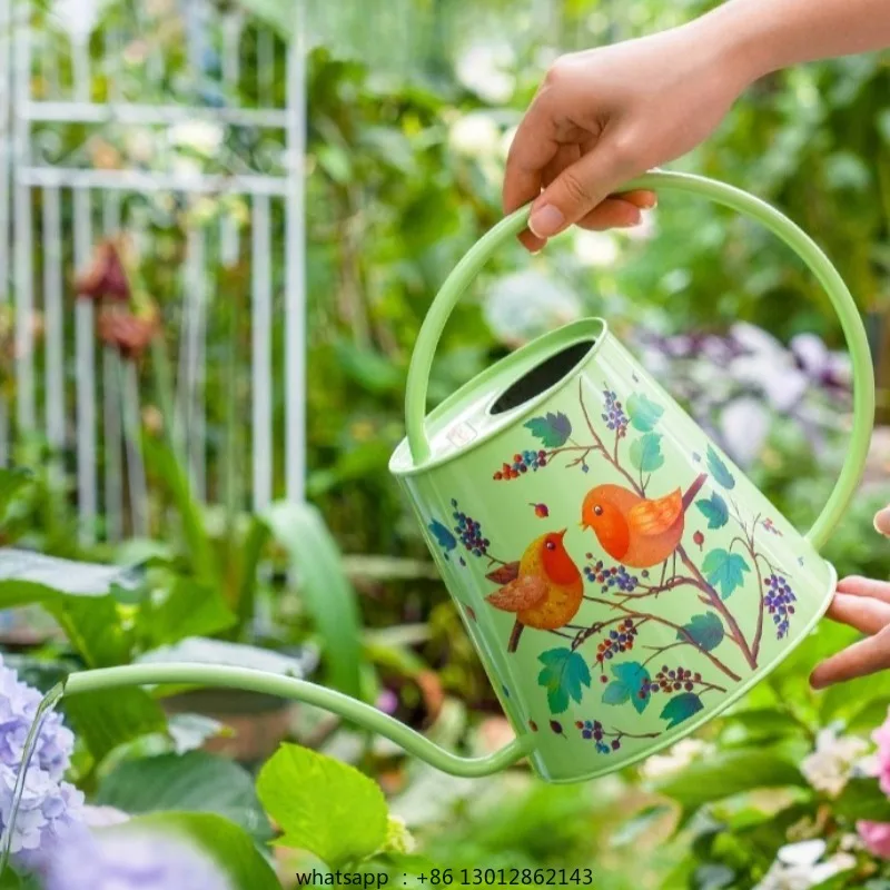 Creative Stainless Steel Long Spout Water Cans Simple Indoor Plant Watering Cans Cartoon Painting Pattern Art Garden Supplies
Creative Stainless Steel Long Spout Water Cans Simple Indoor Plant Watering Cans Cartoon Painting Pattern Art Garden Supplies
