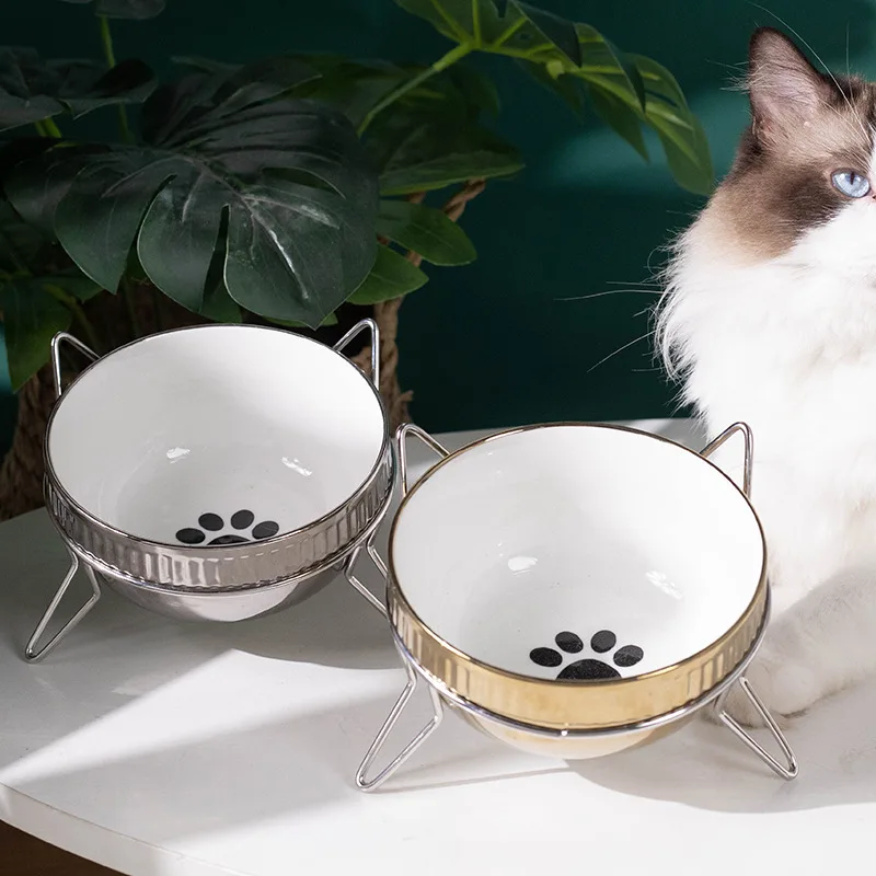 Electroplated Ceramic Pet Bowl Cervical Protection Anti Slip Tilted Feeder For Cat Small Dog
Electroplated Ceramic Pet Bowl Cervical Protection Anti Slip Tilted Feeder For Cat Small Dog