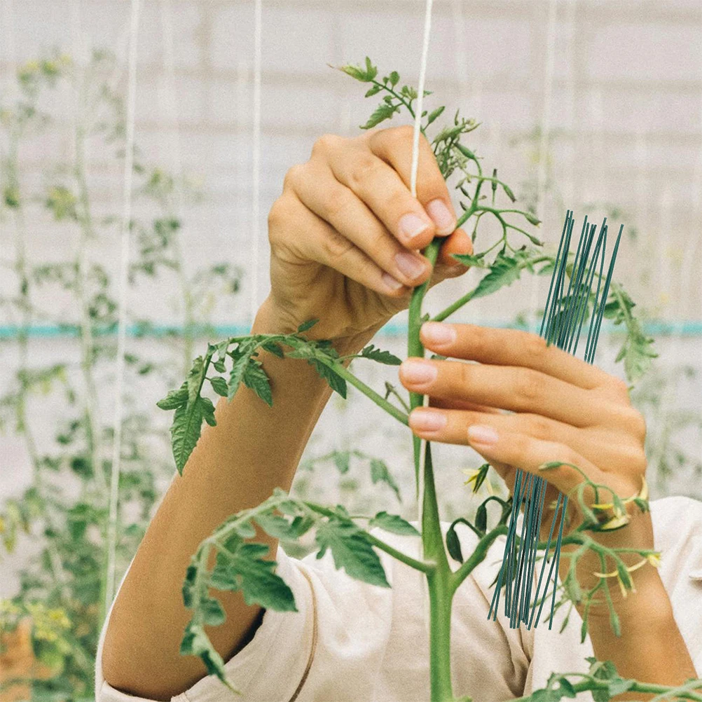 Heavy Duty Reusable Twist Ties Binding Wire for Plants Garden Plant Fixing Tool Cable Organizer Bread Coffee Bag Cord Management 
Heavy Duty Reusable Twist Ties Binding Wire for Plants Garden Plant Fixing Tool Cable Organizer Bread Coffee Bag Cord Management