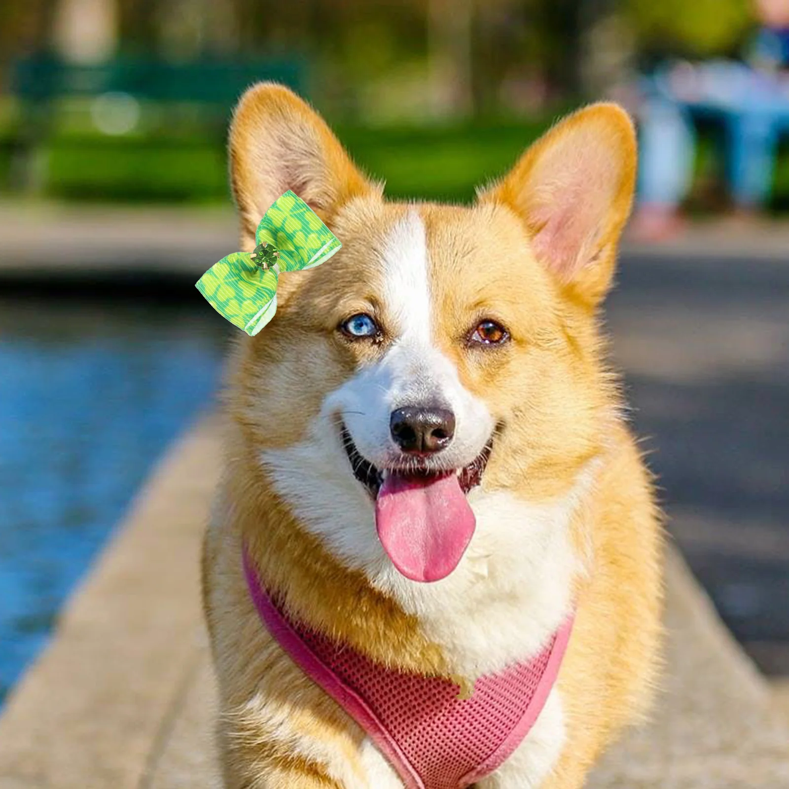 10Pcs Puppy Hair Ties Bows Rubber Bands Dog Hair Accessories Festive Irish Design Pet Grooming Bands for Small Dogs Girls
10Pcs Puppy Hair Ties Bows Rubber Bands Dog Hair Accessories Festive Irish Design Pet Grooming Bands for Small Dogs Girls