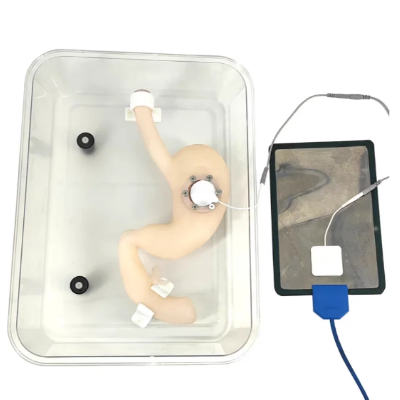 Gastroscopy Surgery Training Model, ESD Training Stomach Model, High-Quality Simulation Model Ultrasound Phantom
Gastroscopy Surgery Training Model, ESD Training Stomach Model, High-Quality Simulation Model Ultrasound Phantom