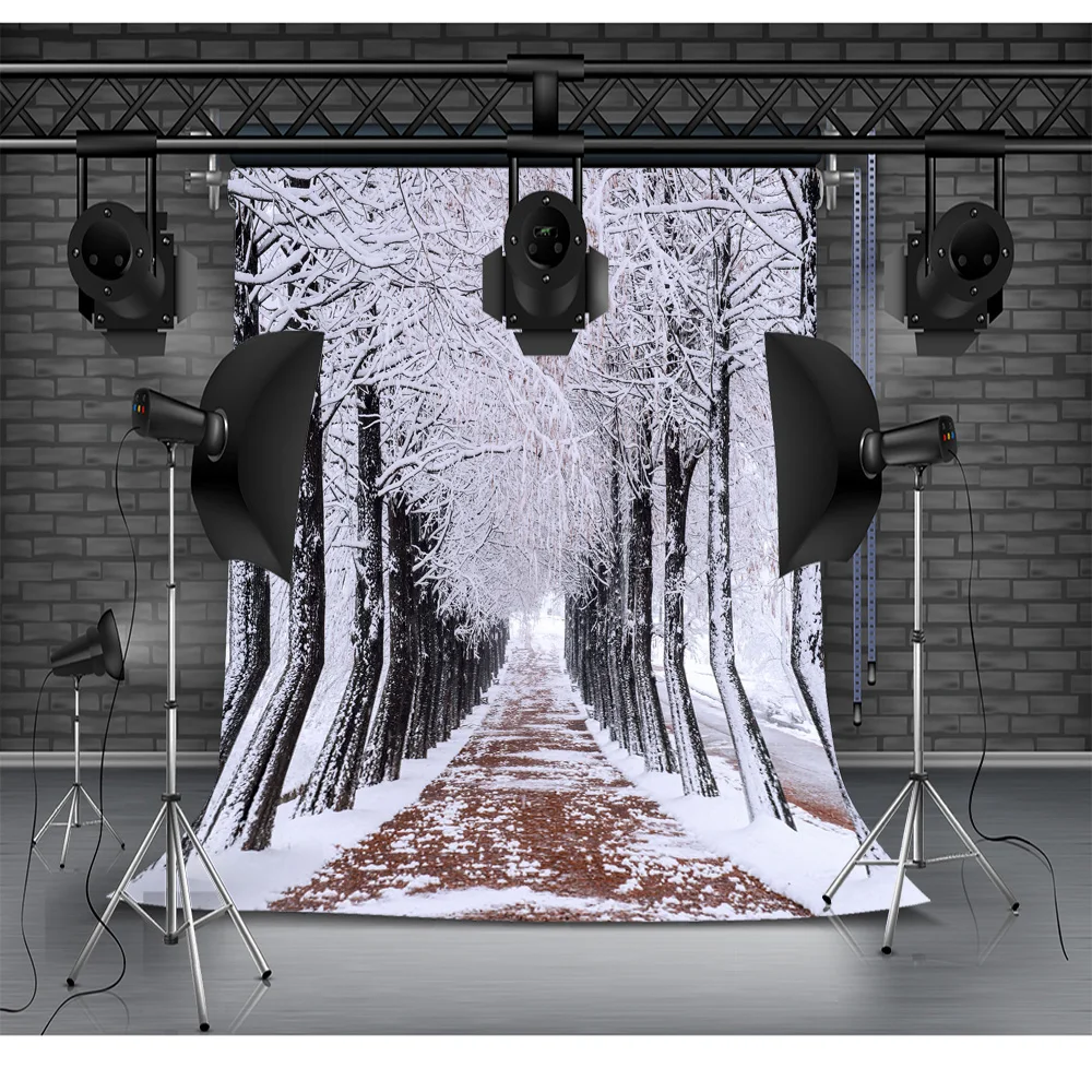 Winter Forest Snowcovered Road Photography Backdrops Blurred Landscape Snowflakes Road Spruce Trees Photo Background XD-15
Winter Forest Snowcovered Road Photography Backdrops Blurred Landscape Snowflakes Road Spruce Trees Photo Background XD-15
