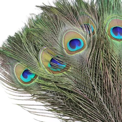 Natural Peacock Feathers DIY Craft Vase Home Decor Wedding Party Decoration Halloween Christmas Costume Performance DIY Art