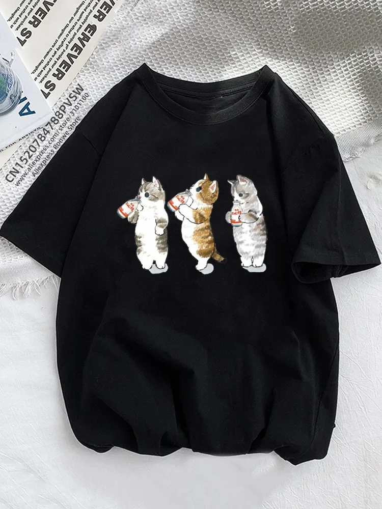 Pop Funny Orange Cats Summer Women T-shirts Girl Animal Pet Love Style Short Sleeve Print Fashion Clothing Female Ladies Graphic
Pop Funny Orange Cats Summer Women T-shirts Girl Animal Pet Love Style Short Sleeve Print Fashion Clothing Female Ladies Graphic