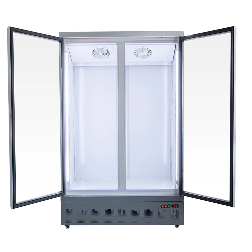 Upright 2 Glass Door Cooler, Fan Cooling Frost-Free with LED, CE for Supermarket
Upright 2 Glass Door Cooler, Fan Cooling Frost-Free with LED, CE for Supermarket