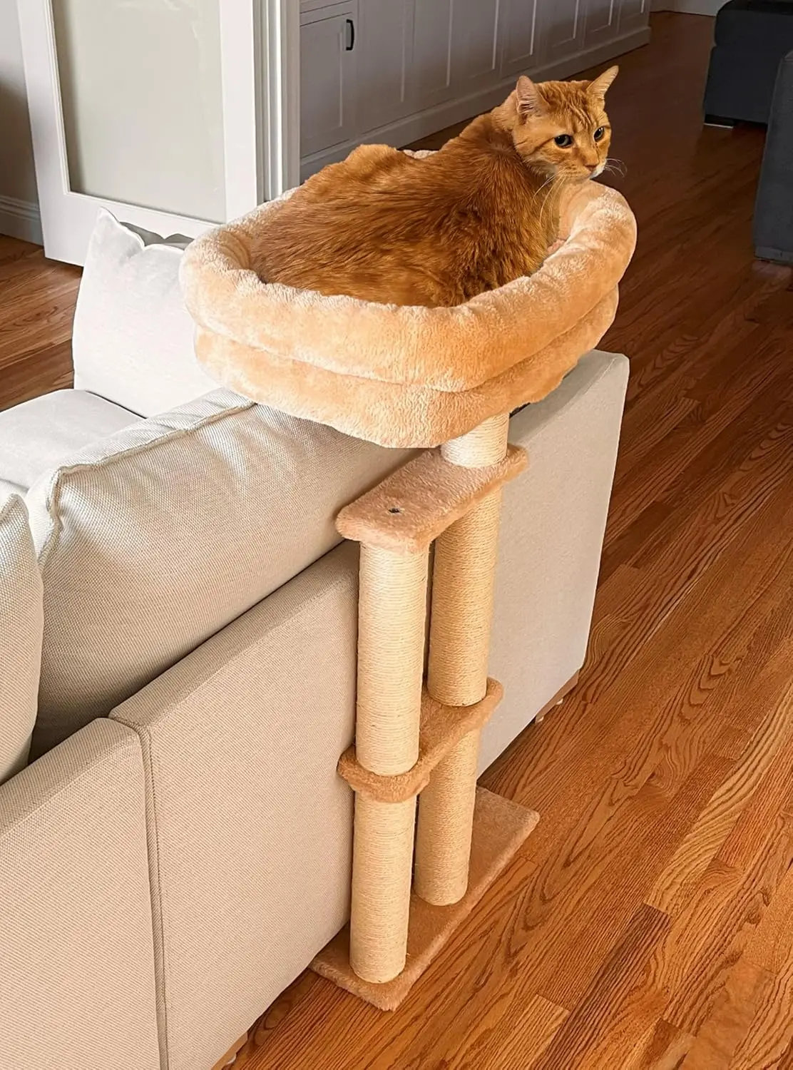 Cushion Protector Cat Bed with Dual Sisal Posts, Adjustable Height 24'-40', Durable & Easy Assembly
Cushion Protector Cat Bed with Dual Sisal Posts, Adjustable Height 24'-40', Durable & Easy Assembly