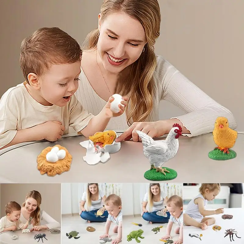 Детские фигурки с жизненным циклом, модели куриных черепашек, муравьев, симуляция роста жизни, игрушки Монтессори
Детские фигурки с жизненным циклом, модели куриных черепашек, муравьев, симуляция роста жизни, игрушки Монтессори