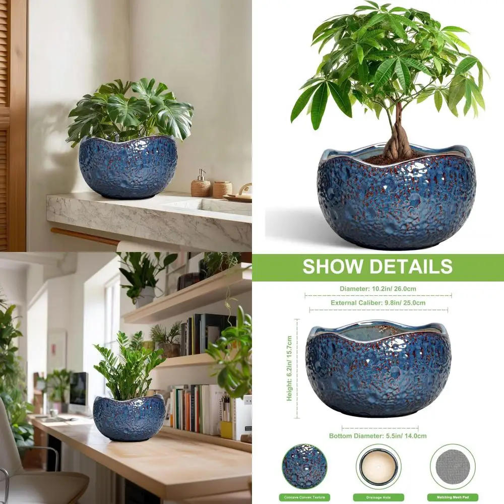 10-дюймовый круглый горшок для бонсай с дренажным отверстием, декоративное кашпо для дома и улицы, уникальный ретро-синий декор для дома, подарок
10-дюймовый круглый горшок для бонсай с дренажным отверстием, декоративное кашпо для дома и улицы, уникальный ретро-синий декор для дома, подарок