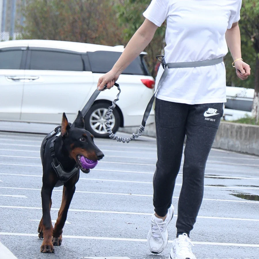 Elastic buffering explosion-proof flushing multifunctional dog walking chain, dog traction rope, pet supplies, running rope
Elastic buffering explosion-proof flushing multifunctional dog walking chain, dog traction rope, pet supplies, running rope
