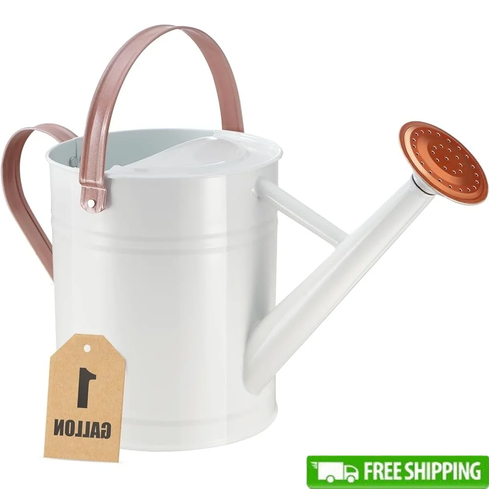 Watering Can Indoor Outdoor Plants 1 Gallon Metal Pot with Removable Spout Ergonomic Handles Durable Garden Watering Tool
Watering Can Indoor Outdoor Plants 1 Gallon Metal Pot with Removable Spout Ergonomic Handles Durable Garden Watering Tool
