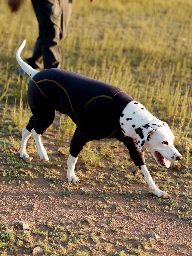 BlackDoggy Thermal Quad-Legged Dog Clothes Winter Wear Resistant Waterproof Dirt-Proof Pet Dog Protection Suit for Small Dogs
BlackDoggy Thermal Quad-Legged Dog Clothes Winter Wear Resistant Waterproof Dirt-Proof Pet Dog Protection Suit for Small Dogs