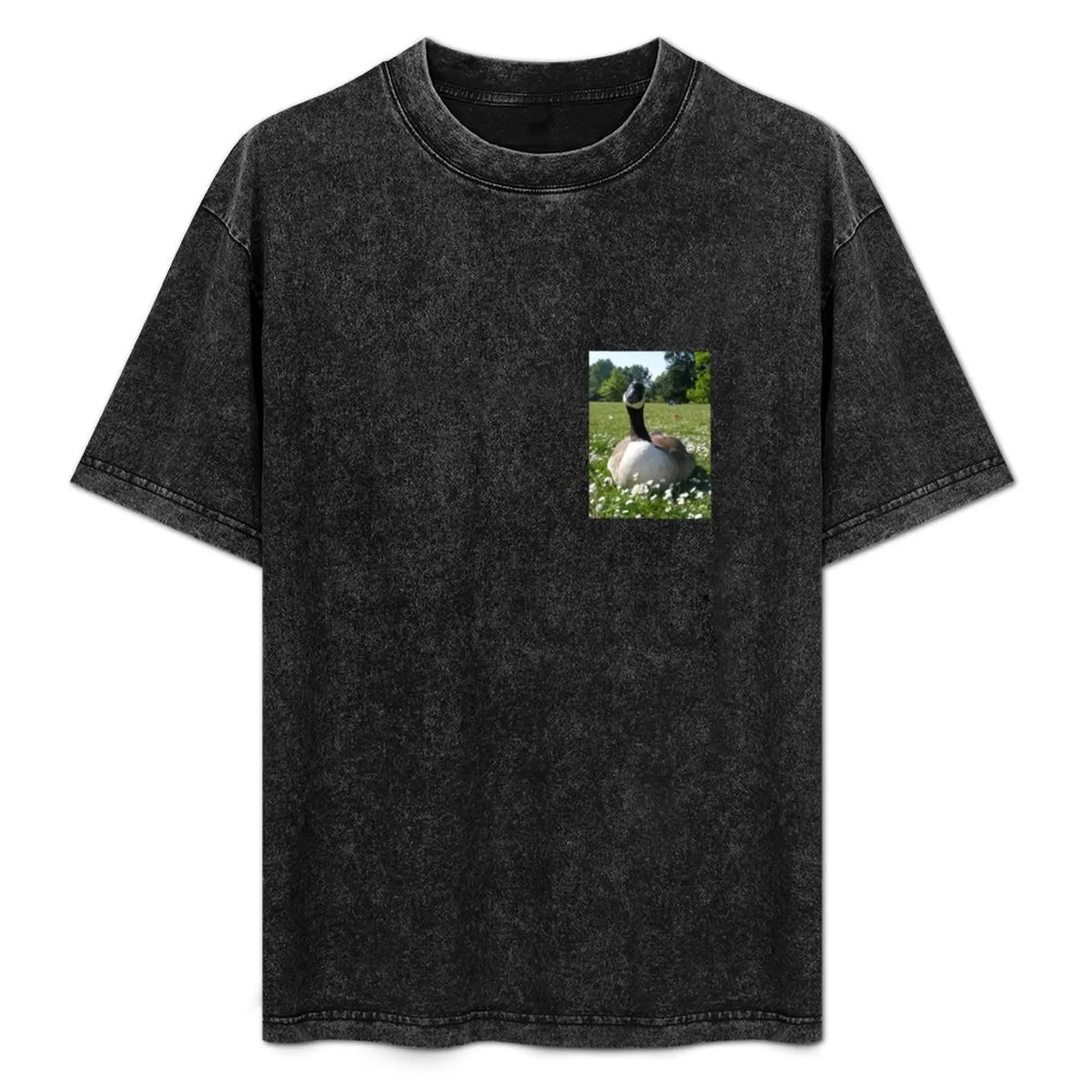 Hey You want some Bread! T-Shirt Anti-Pilling Casual T-Shirt
Hey You want some Bread! T-Shirt Anti-Pilling Casual T-Shirt