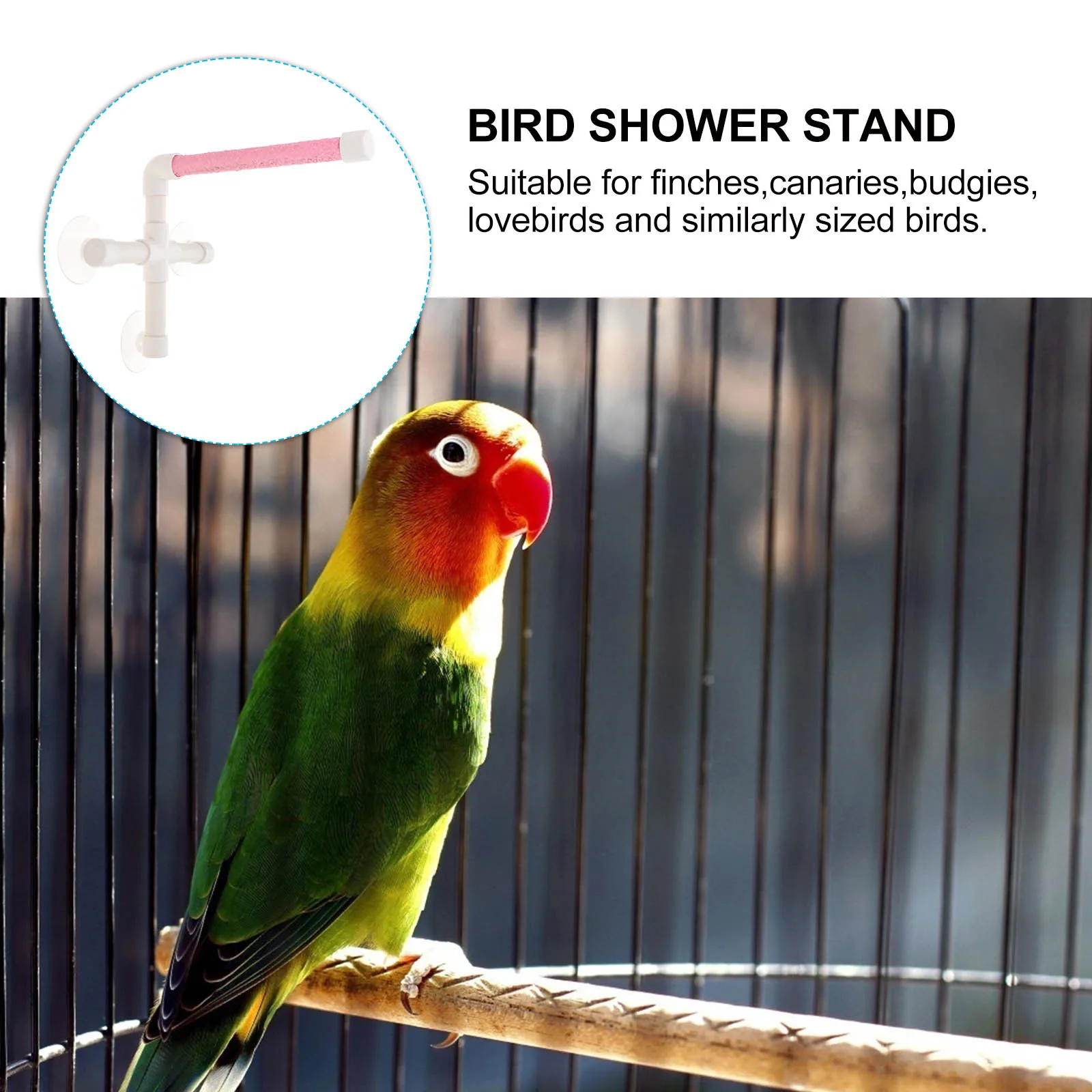 Bird Shower Perch Stand With Suction Cups For Bathing Sunlight Exposure Durable Station For Finches Canaries Budgies Parrot
Bird Shower Perch Stand With Suction Cups For Bathing Sunlight Exposure Durable Station For Finches Canaries Budgies Parrot