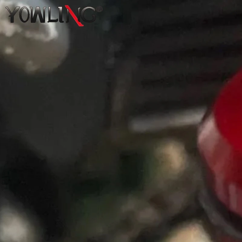 2025-2026 675SR-R Motorcycle Radiator Guard Cover Protection Protector For CFMOTO 675 SR-R 675NK 675SR 675SS 675 SS NK SR 2024
2025-2026 675SR-R Motorcycle Radiator Guard Cover Protection Protector For CFMOTO 675 SR-R 675NK 675SR 675SS 675 SS NK SR 2024