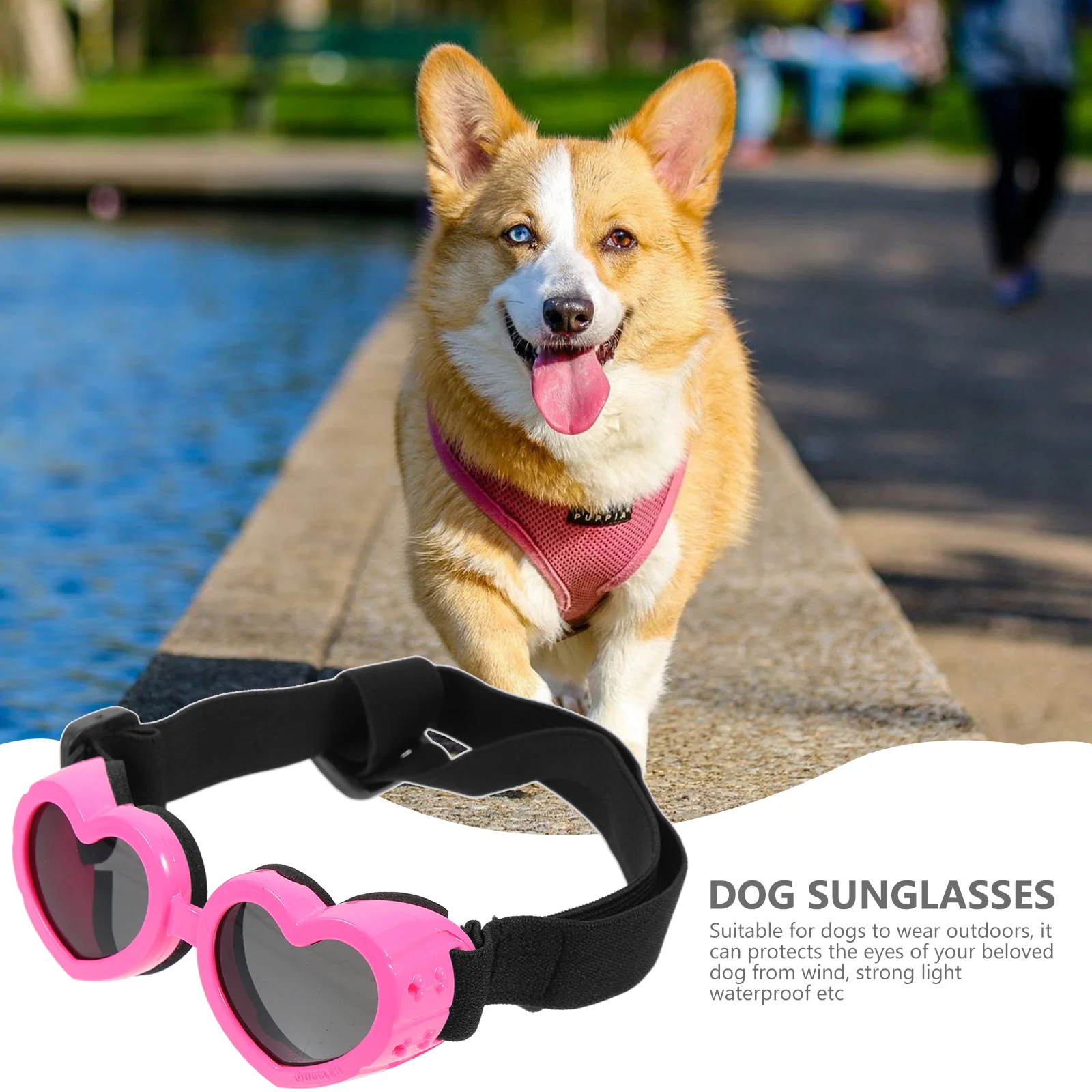 Dog Sunglasses for Medium and Large Breeds Ventilated Windproof Waterproof Uv Protection Outdoor Puppy Goggles Cool Style Pet
Dog Sunglasses for Medium and Large Breeds Ventilated Windproof Waterproof Uv Protection Outdoor Puppy Goggles Cool Style Pet