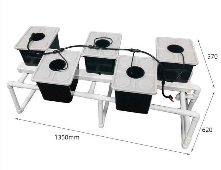 Soilless cultivation of vine plants Dutch bucket hydroponic system bato for tomato planting
Soilless cultivation of vine plants Dutch bucket hydroponic system bato for tomato planting