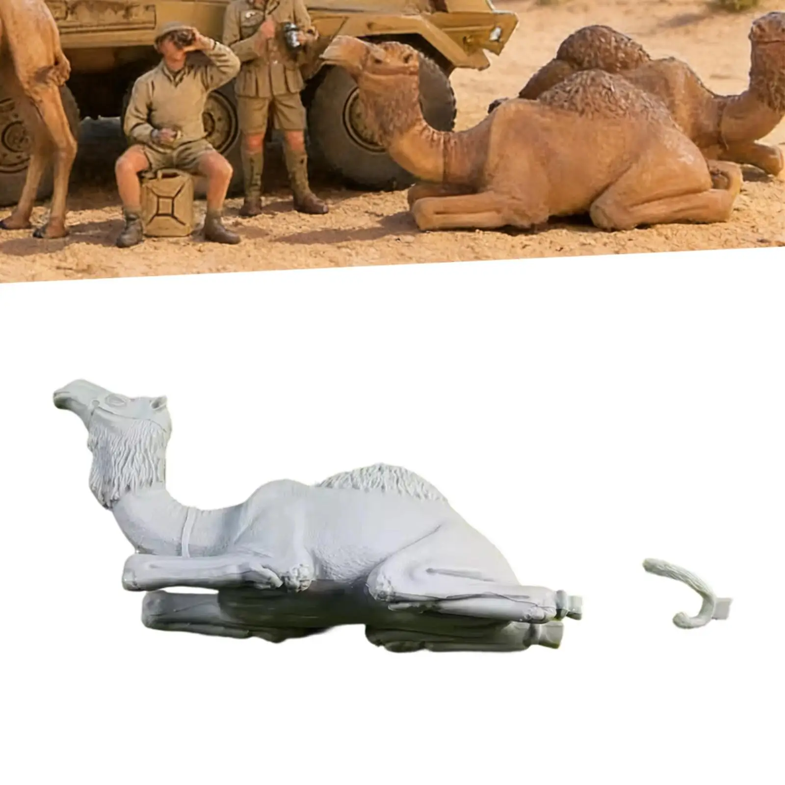 1:35 Desert Camel Figure Layout Sand Table Decor Collections Scenery Fairy Garden Accessories Miniature Figurine Toy Unpainted
1:35 Desert Camel Figure Layout Sand Table Decor Collections Scenery Fairy Garden Accessories Miniature Figurine Toy Unpainted