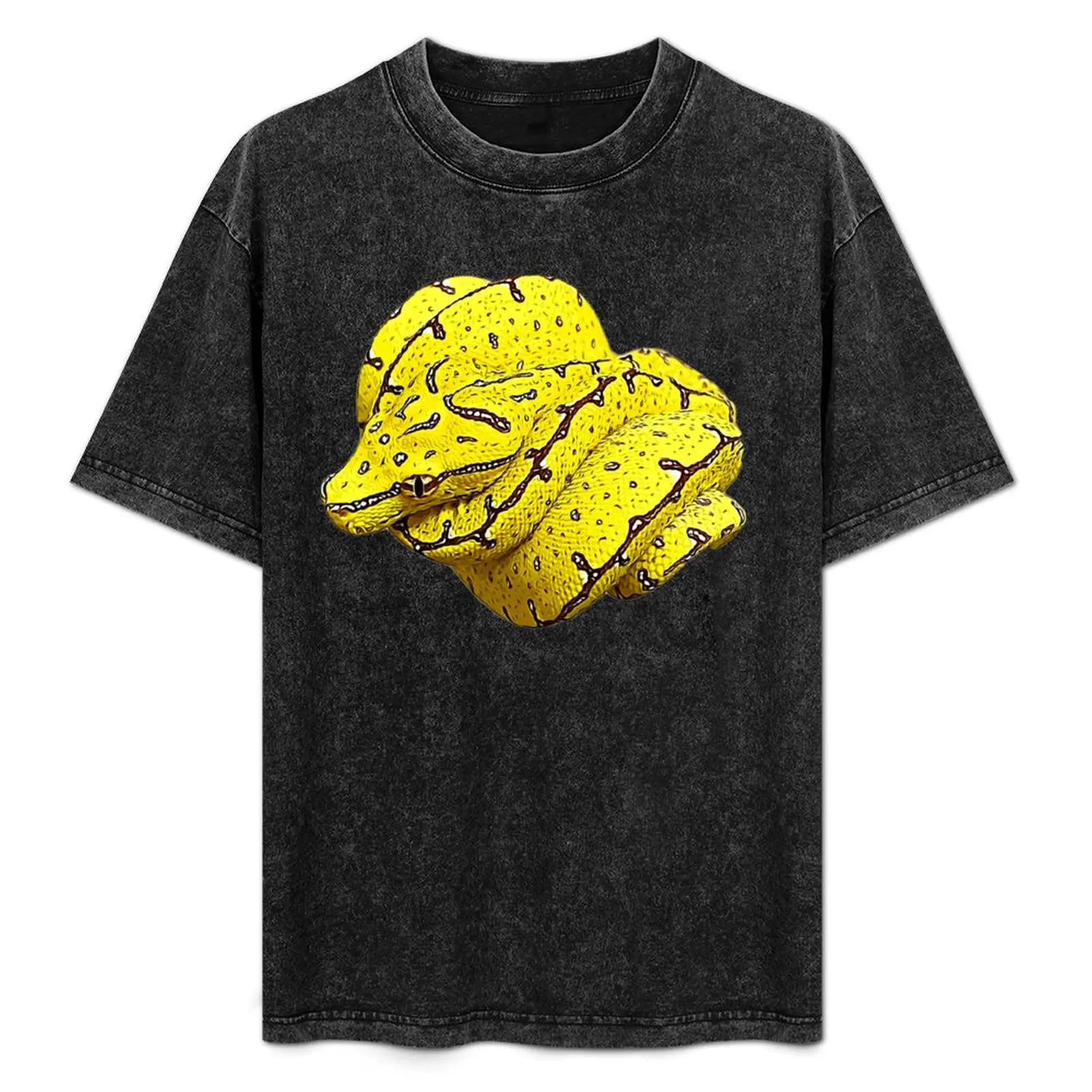 Green Tree Python Baby Chondro T-Shirt Large Size Short Sleeve T-Shirt
Green Tree Python Baby Chondro T-Shirt Large Size Short Sleeve T-Shirt