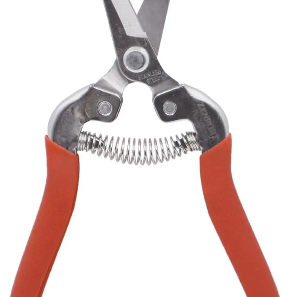 12PK Harvest Shear, 12, Red
12PK Harvest Shear, 12, Red