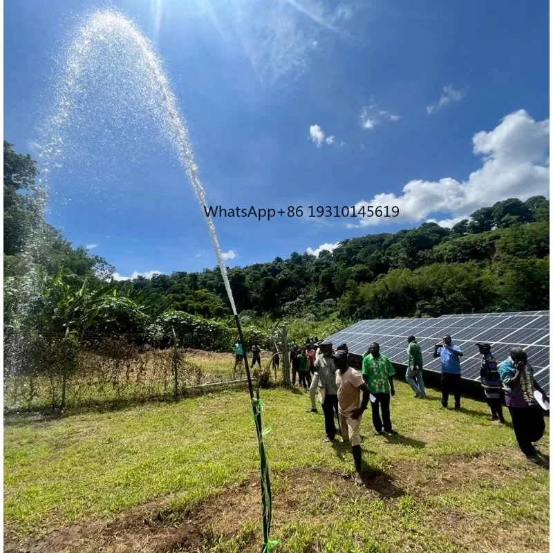 【From China】2HP AC 220V Solar Submersible Drip Irrigation Well Pump Kit For Agriculture High Pressure DC Solar Energy Water Pump
【From China】2HP AC 220V Solar Submersible Drip Irrigation Well Pump Kit For Agriculture High Pressure DC Solar Energy Water Pump
