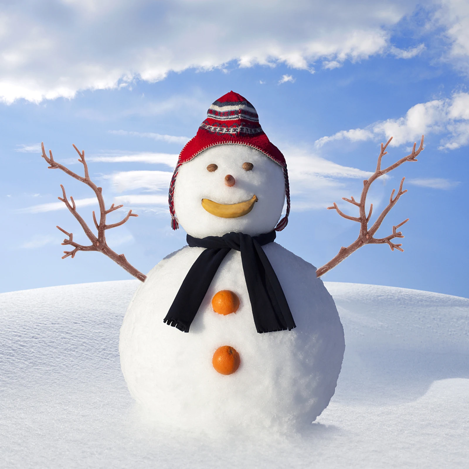 10pcs Plastic Deer Antler Branches Artificial Dried Twigs For Diy Craft Home Decor Vase Filler Party Wedding Table Decoration
10pcs Plastic Deer Antler Branches Artificial Dried Twigs For Diy Craft Home Decor Vase Filler Party Wedding Table Decoration