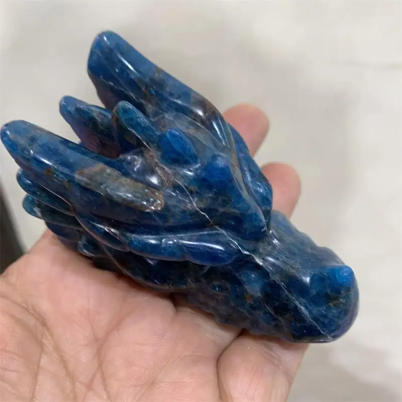 Natural Blue Apatite Dragon Skull Carving Polished Healing Stones Gemstones For Home DIY Decoration 1pcs
Natural Blue Apatite Dragon Skull Carving Polished Healing Stones Gemstones For Home DIY Decoration 1pcs