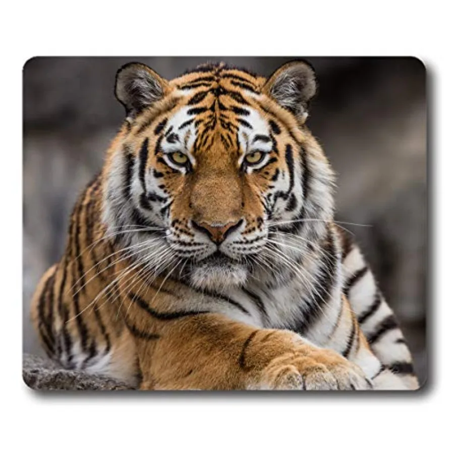 Mouse Pad Siberian Tiger Gaming Personality Rectangle Mouse Mat Non-Slip Rubber Mousepad
Mouse Pad Siberian Tiger Gaming Personality Rectangle Mouse Mat Non-Slip Rubber Mousepad