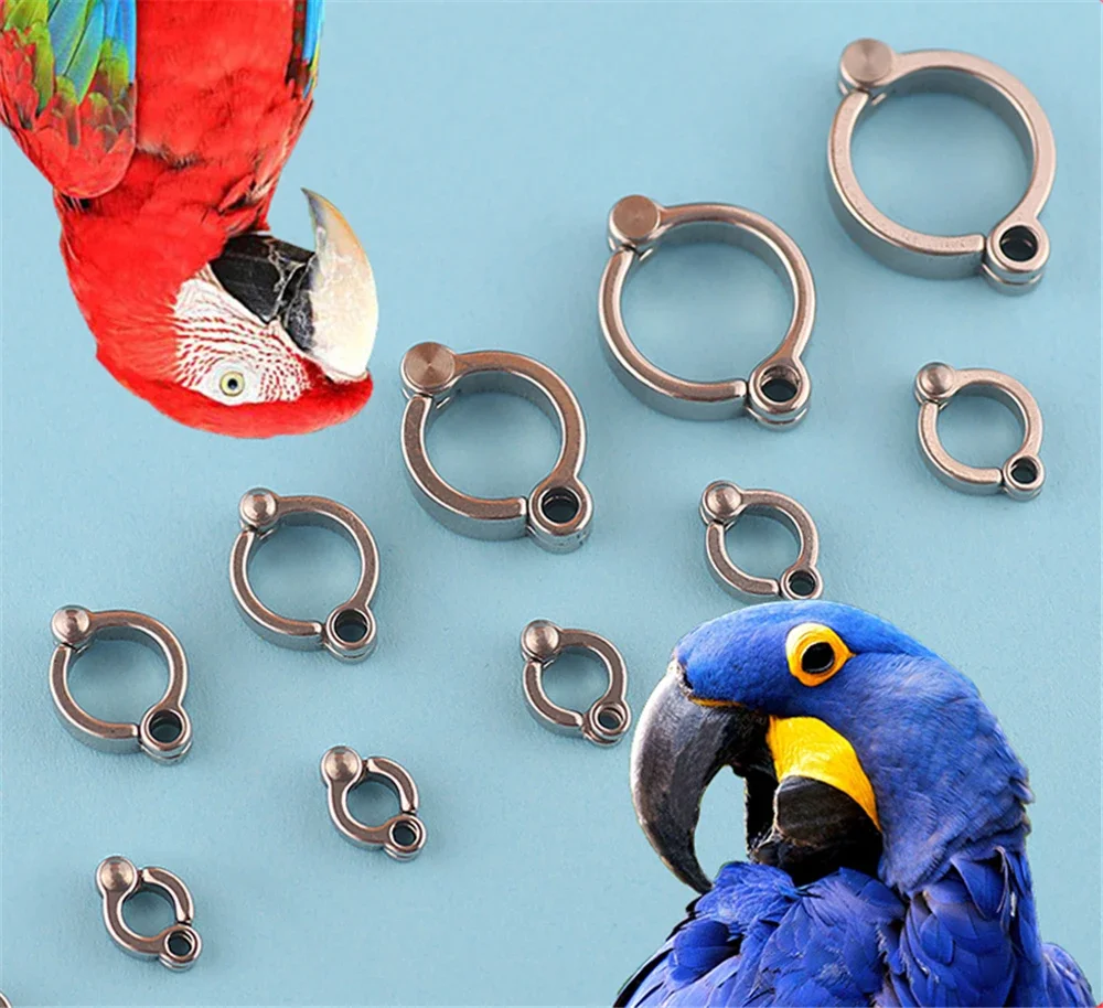Parrot Foot Rings Pet Bird Leg Ring Anti-Lost Opening Clip Outdoor Flying Training Activity Bird Ring Parrot Flying Accessory 
Parrot Foot Rings Pet Bird Leg Ring Anti-Lost Opening Clip Outdoor Flying Training Activity Bird Ring Parrot Flying Accessory