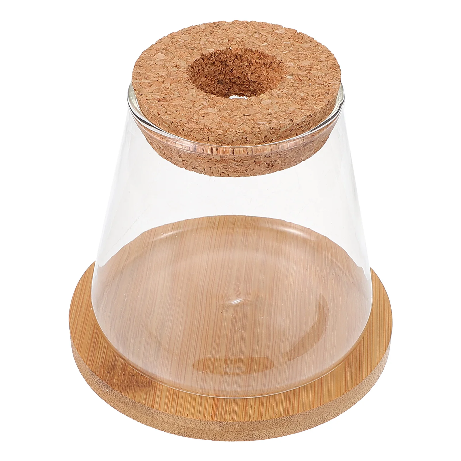 Hydroponic Glass Fish Tank Terrarium Vase Bowl Wood Plant Bottle Micro Landscape
Hydroponic Glass Fish Tank Terrarium Vase Bowl Wood Plant Bottle Micro Landscape
